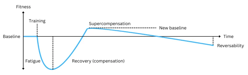 Chart illustrating training, fatigue, recovery, supercompensation and reversability