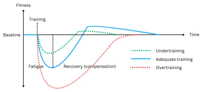 Chart illustrating supercompensation from adequate training, undertraining and overtraining