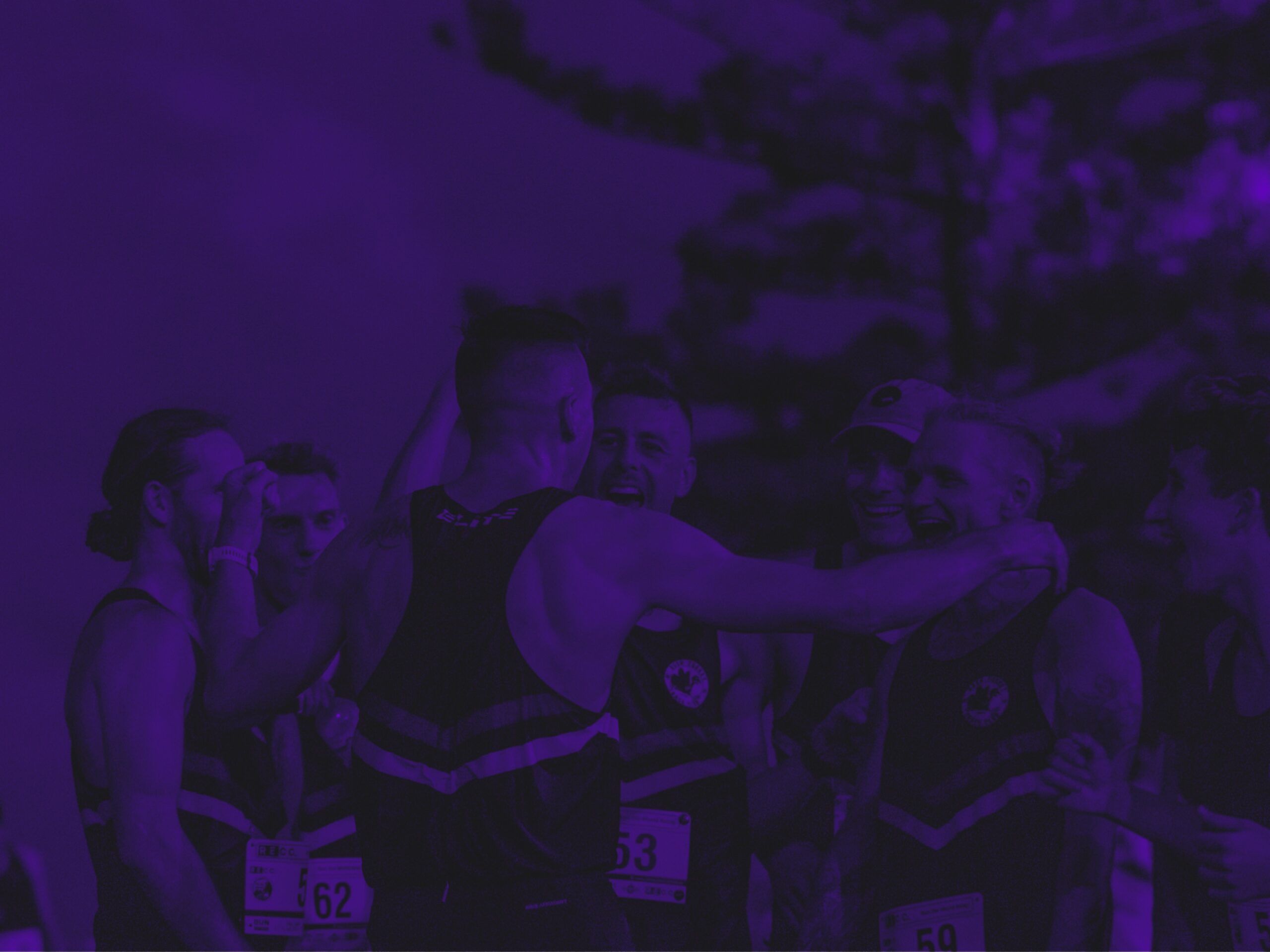 Introducing Our New Website