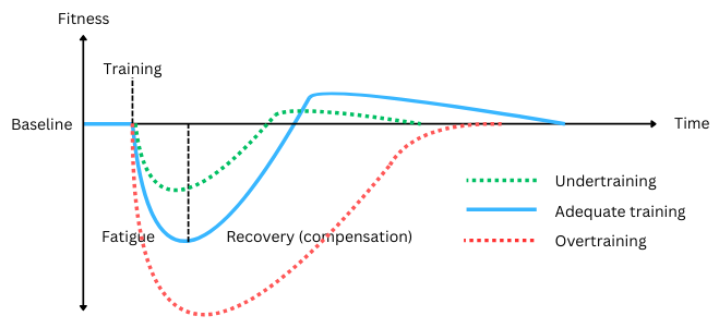 Chart illustrating supercompensation from adequate training, undertraining and overtraining